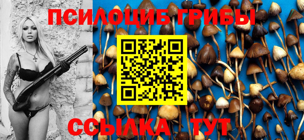 Псилоцибиновые грибы MAGIC MUSHROOMS Балтийск