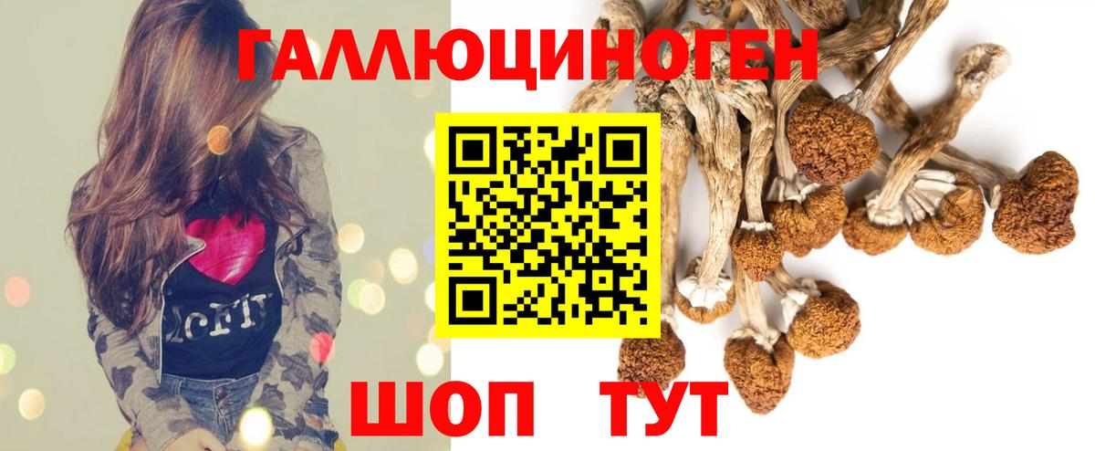 магазин    Галлюциногенные грибы Magic Shrooms  Вход с VPN  Балтийск 